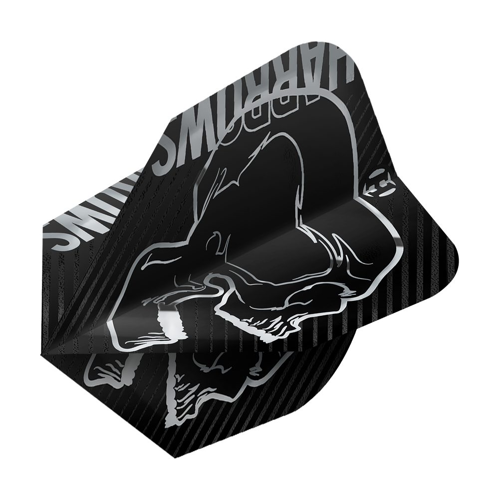 Harrows Rage Silver No6 Flights Das Bild zeigt ein schwarzes Dartflight mit einem silbernen Totenkopf-Design. Oben ist der Schriftzug "HARROWS" in Silber zu sehen.