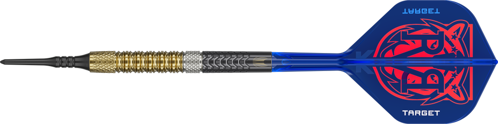 Target Raymond Van Barneveld GEN6 soft darts
