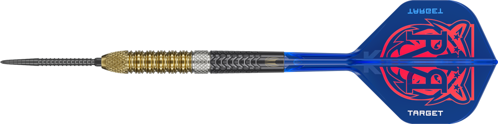 Target Raymond Van Barneveld GEN6 Swiss Point steel darts