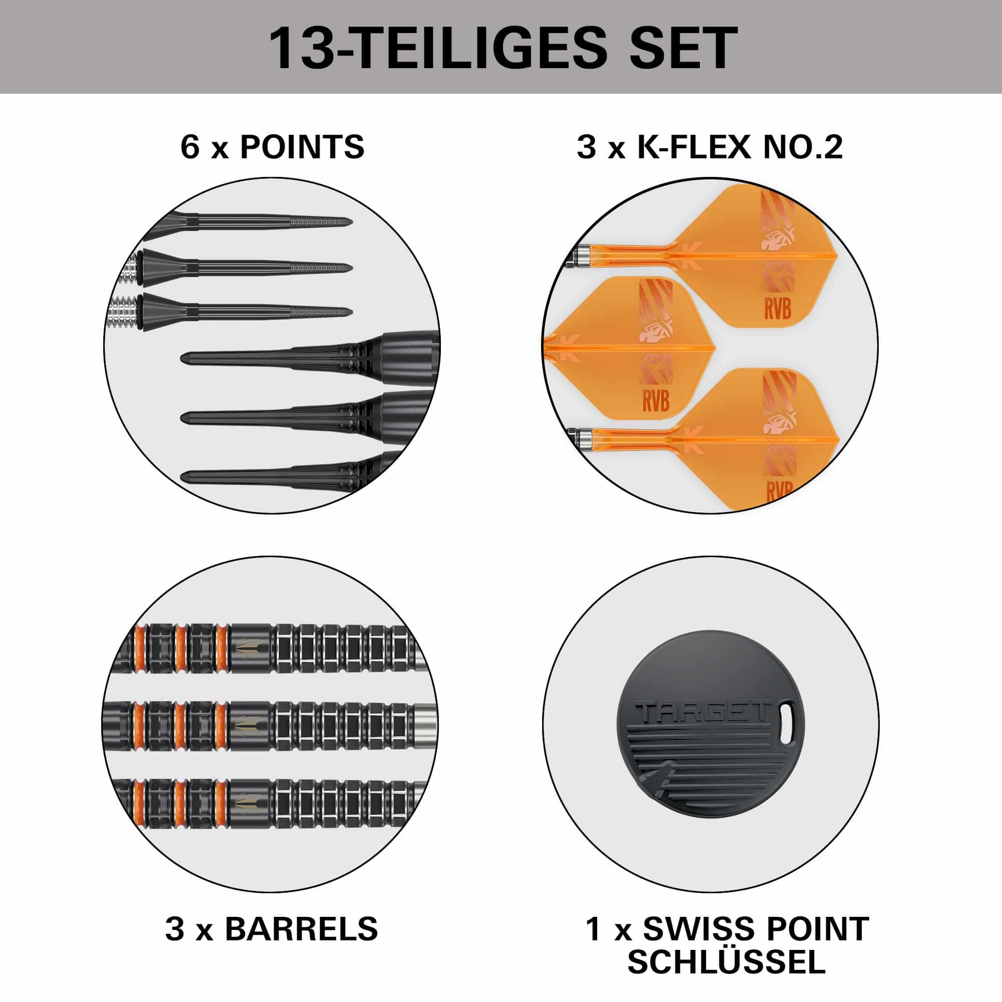 Target Raymond Van Barneveld 95K soft darts - 20g