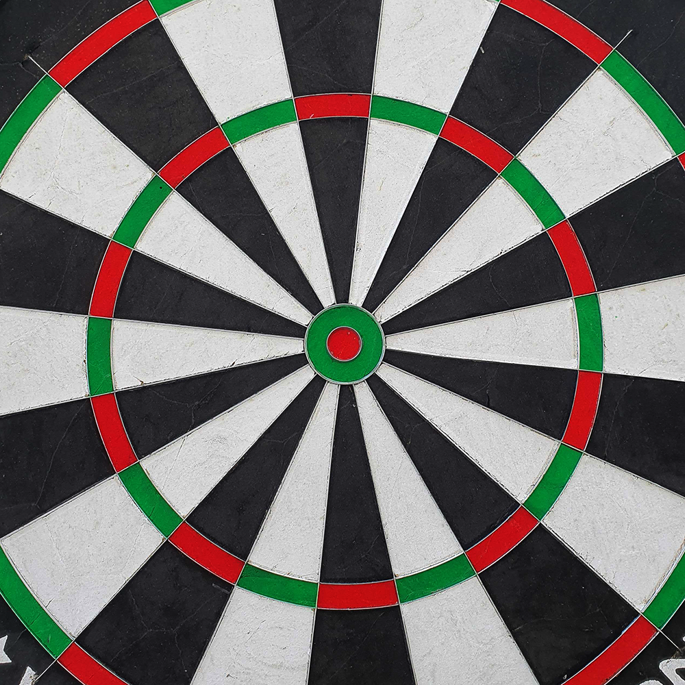 Shot Michael Smith Competition steel dart board