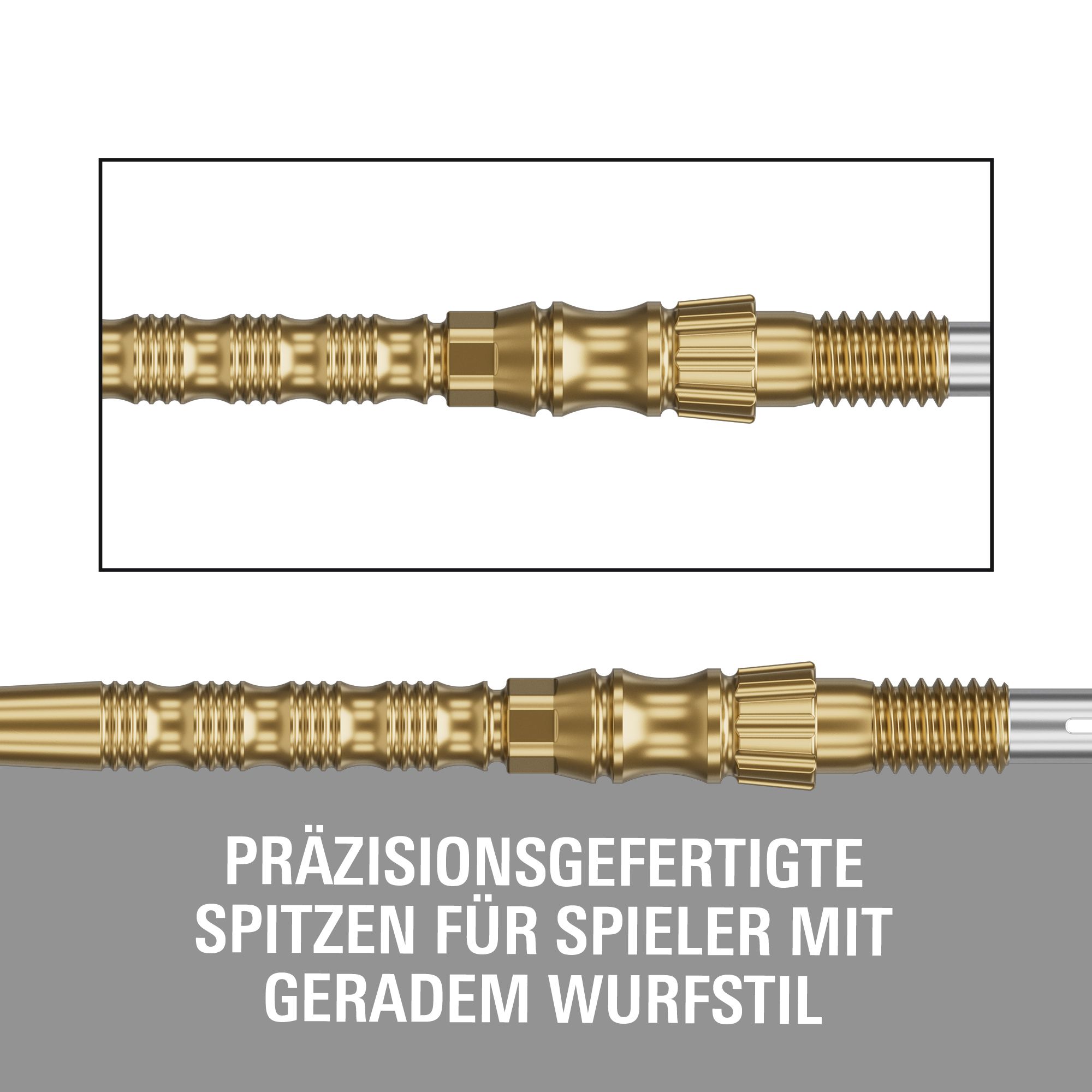 Target Signature Swiss Point TRB steel dart tips - gold Gezeigt werden Target Signature Swiss Point TRB Steeldartspitzen - Gold. Diese Dartspitzen haben eine goldene Farbe und sind für Steeldarts gedacht.