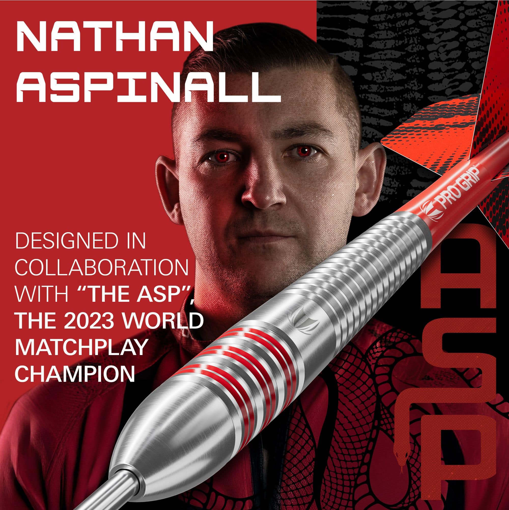 Target Nathan Aspinall Brass Steel Darts - 22g Abgebildet sind die Target Nathan Aspinall Brass Steeldarts, Gewicht 22g. Dieses Produkt wird speziell für Steeldartspieler angeboten.