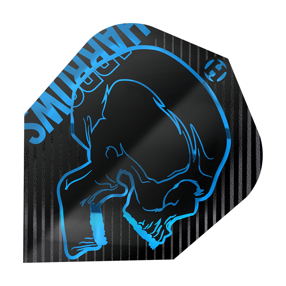 Harrows Rage Aqua No. 6 Flights Das Bild zeigt ein Dartflight mit dem Namen "Harrows Rage Aqua No6 Flights". Auf dem schwarzen Flight ist ein blauer Totenkopf und das HARROWS-Logo abgebildet.