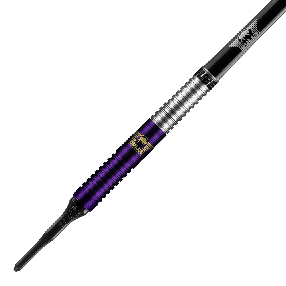 Bulls NL Dirk van Duijvenbode Aubergenius Softdarts - 20g