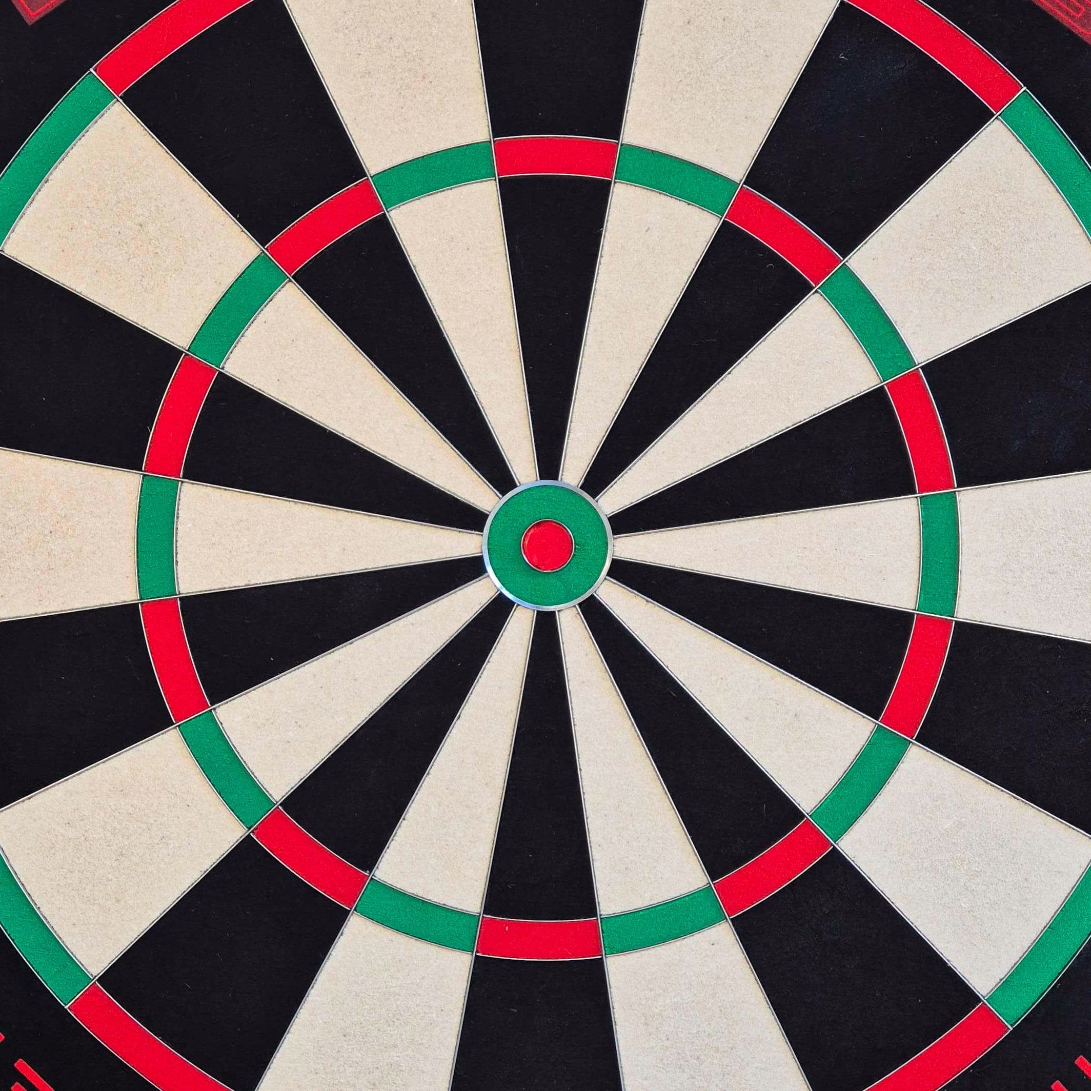 Target TOR EVO steel dartboard Target TOR EVO steel dartboard