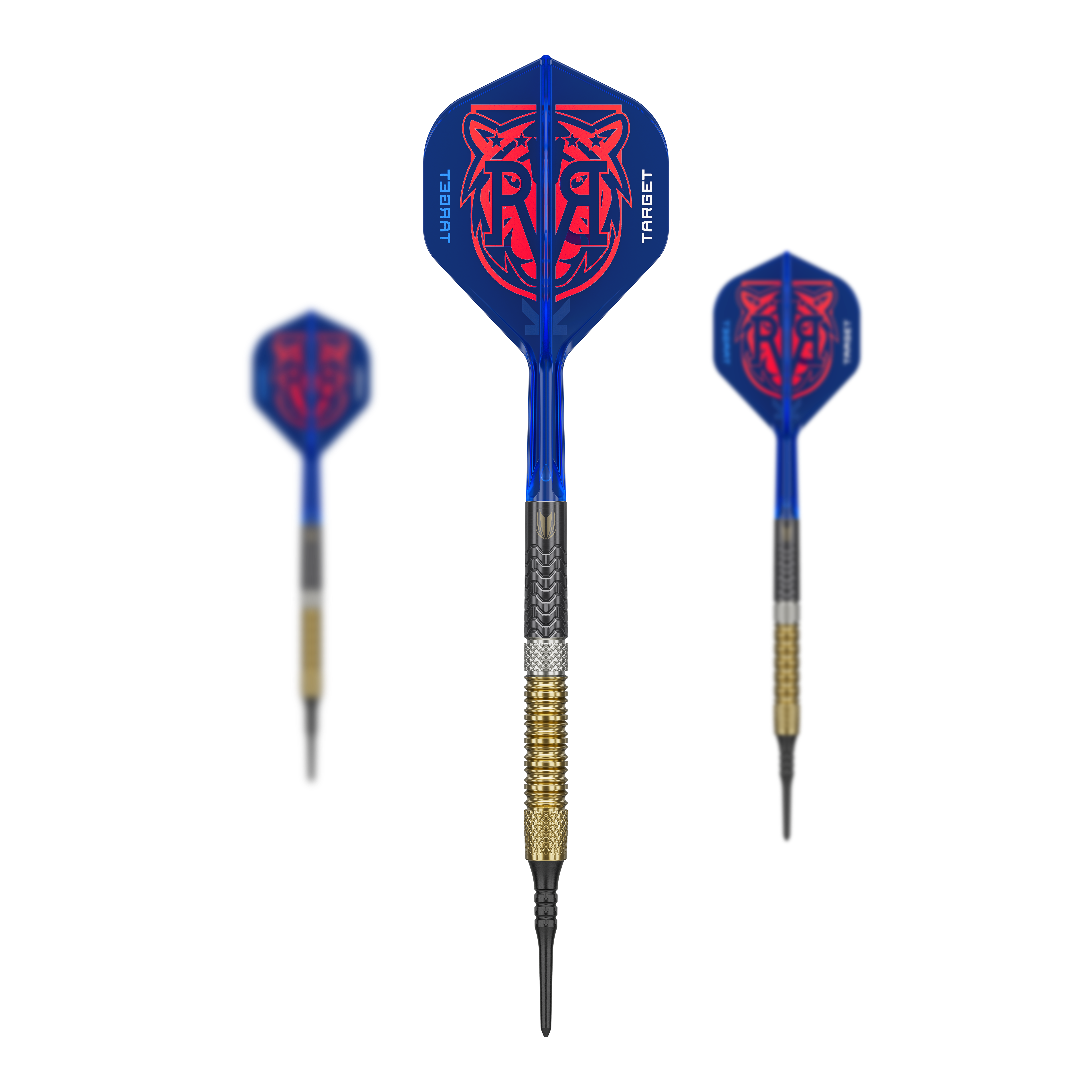 Target Raymond Van Barneveld GEN6 soft darts