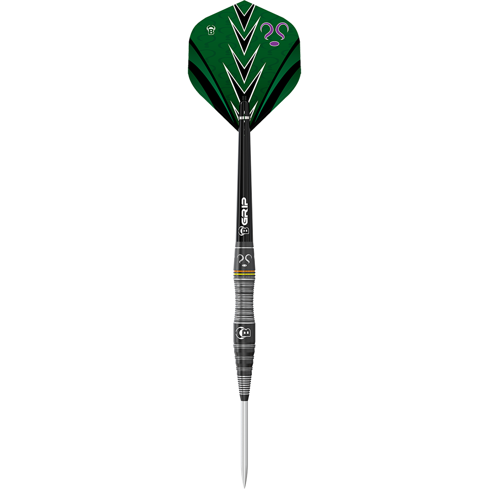 Bull&#39;s Brian Raman The Riddler Steel darts