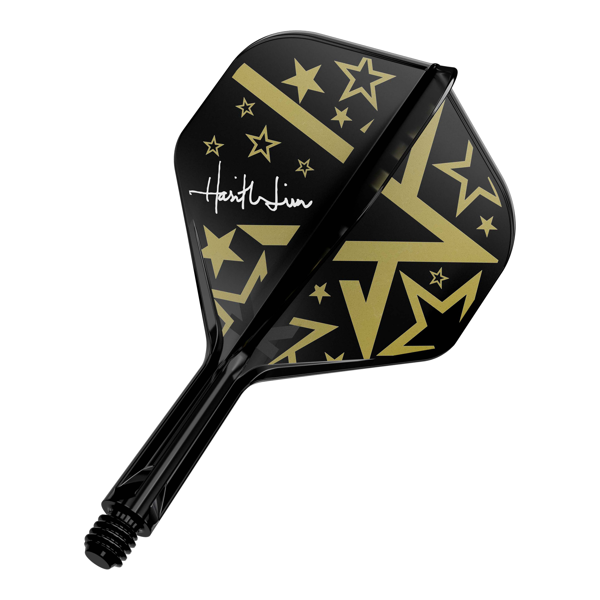 Das Bild zeigt einen schwarz-goldenen Dartflight mit verschiedenen Stern- und Pfeilmotiven. Auf dem Flight steht eine weiße Unterschrift.