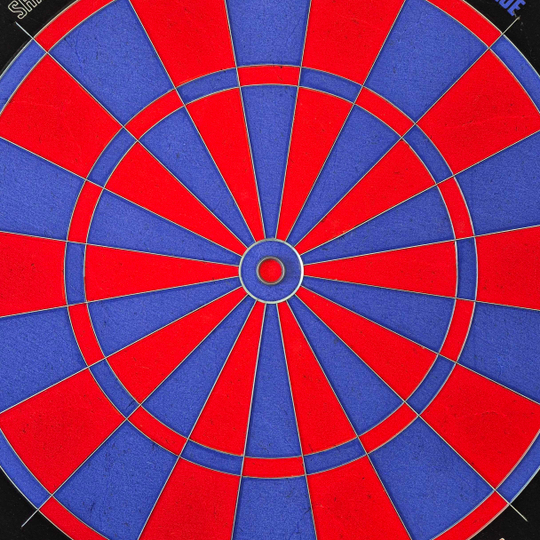 Bulls NL Shark Blue Pro steel dartboard