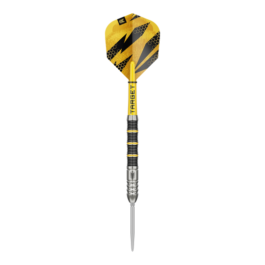 Das Foto präsentiert die Target Buzz 02 Swiss Points Steeldarts. Sie bieten ein optimales Spielerlebnis.