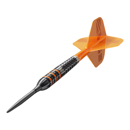 Target Raymond Van Barneveld 95K Swiss Points Steel Darts Target Raymond Van Barneveld 95K Swiss Points Steel Darts