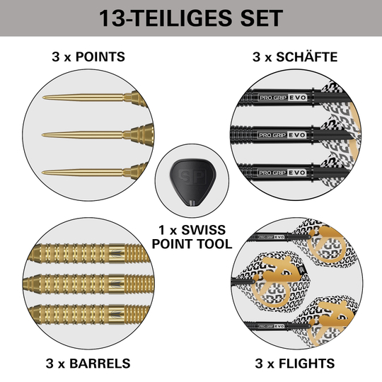 Das Bild zeigt Target Bolide Envy 02 Swiss Point Steeldarts. Dies sind professionelle Steeldarts, geeignet für ambitionierte Spieler.