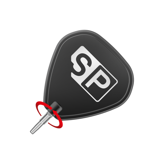 Target Swiss Point RVE Dartspitzen - Silber