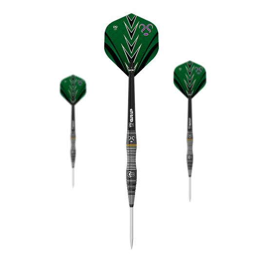 Auf dem Bild sind drei Steeldarts des Modells "Bulls Brian Raman The Riddler" zu sehen. Die Flights sind vorwiegend grün mit schwarzen und weißen Akzenten sowie einem lilafarbenen Fragezeichen.