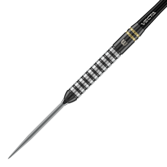 Das Foto zeigt Winmau Gian Van Veen TS Switch Point Steeldarts. Der Dartpfeil ist detailliert abgebildet.