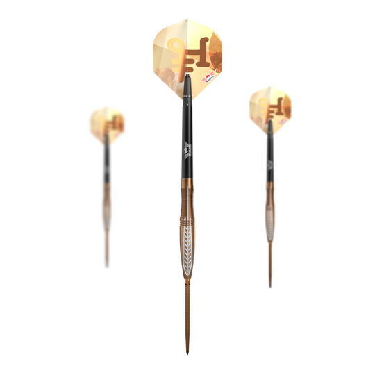 Bulls NL Bronzo Flux Convertible Point Steel Darts