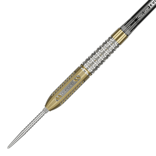Target Raymond Van Barneveld Chrono 95 Swiss Point Steeldarts