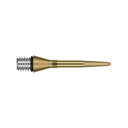380166_Target_Titanium_Swiss_Point_Nano_Conversion_Points_Gold_26mm_2 Das Bild zeigt eine goldfarbene Dartspitze mit einem silbernen Gewinde am linken Ende. Die Spitze ist schmal und hat feine Rillen am rechten Ende.