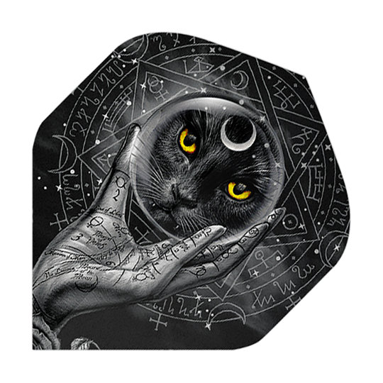 Das Bild zeigt eine schwarze Katze mit leuchtend gelben Augen in einer Glaskugel, die von einer mit Symbolen verzierten Hand gehalten wird. Im Hintergrund sind mystische Zeichen und Symbole zu sehen.