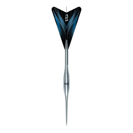 Abgebildet ist das Produkt Caliburn TTD Complete Titanium T2 Silver Steeldarts - 6g. Diese silbernen Steeldarts bestehen aus Titan und wiegen 6 Gramm.