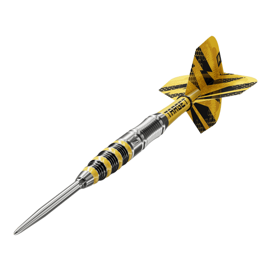 Das Produkt ist Target Buzz 03 Swiss Points Steeldarts. Die Darts sind speziell zum Steeldart-Spielen entwickelt.
