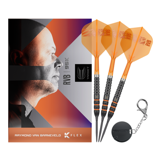 Target Raymond Van Barneveld 95K Swiss Points Steel Darts