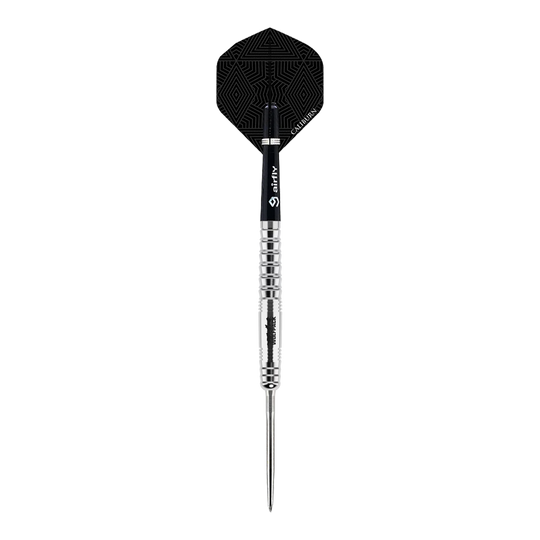 Das Bild zeigt den Caliburn Wolfpack W6 Steeldart mit 22g Gesamtgewicht. Dieses Produkt eignet sich sowohl für Hobbyspieler als auch für Profis.