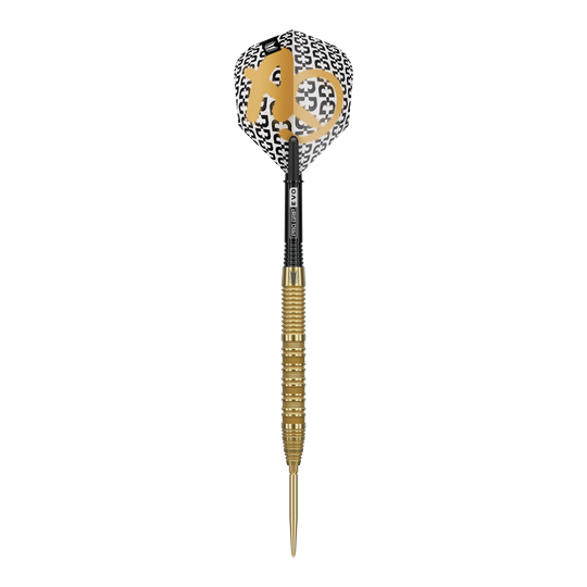 Das Bild zeigt die Target Bolide Envy 01 Swiss Point Steeldarts. Diese Darts sind für anspruchsvolle Dartspieler geeignet.