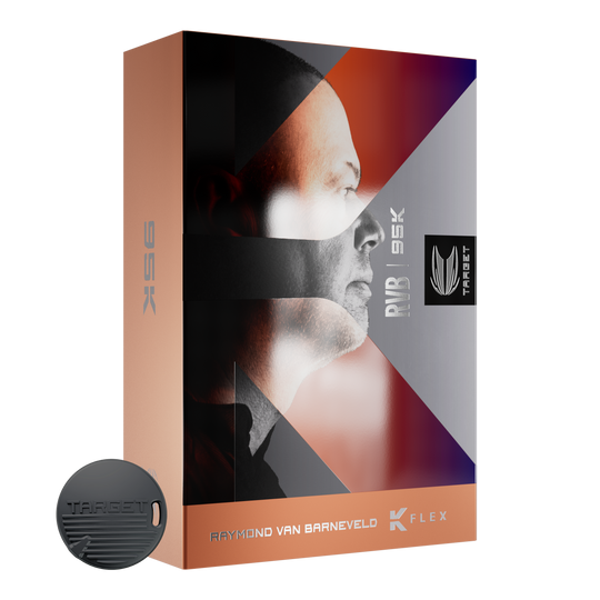 Target Raymond Van Barneveld 95K Swiss Points Steel Darts