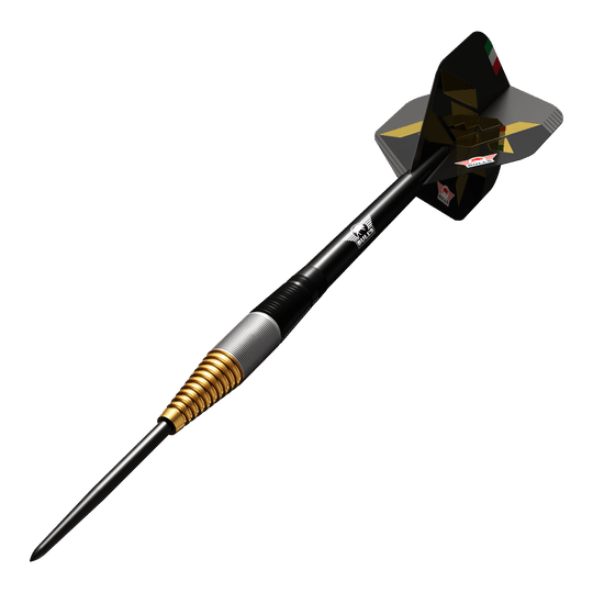 Bulls NL Massimo Dalla Rosa Steeldarts - 20g