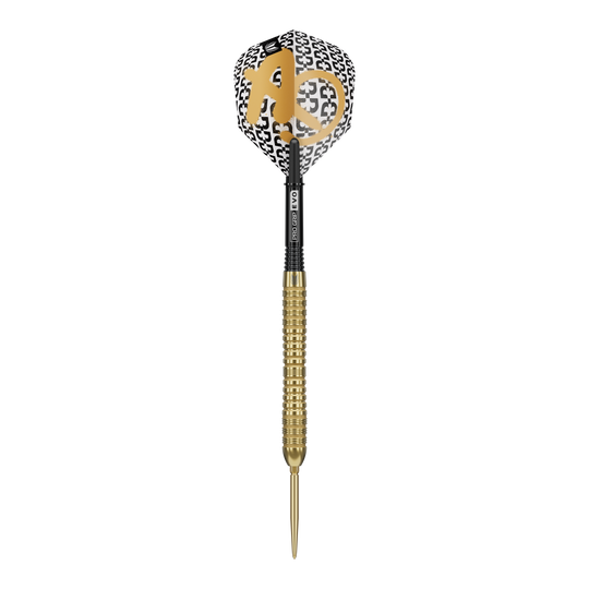 Abgebildet ist ein Target Bolide Envy 04 Swiss Point Steeldarts. Die Darts haben ein elegantes Design und sind für präzises Spiel geeignet.
