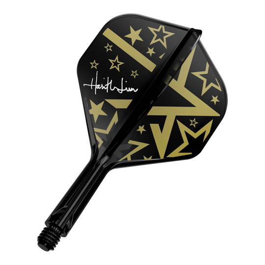 Das Bild zeigt einen schwarz-goldenen Dartflight mit verschiedenen Stern- und Pfeilmotiven. Auf dem Flight steht eine weiße Unterschrift.