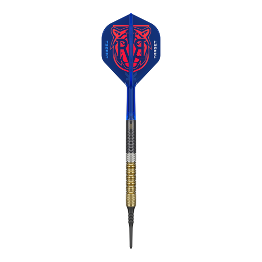 Target Raymond Van Barneveld GEN6 soft darts Das Bild zeigt die Target Raymond Van Barneveld GEN6 Softdarts. Die Darts sind deutlich sichtbar dargestellt.