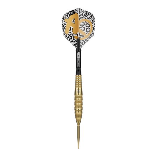 Gezeigt werden die Target Bolide Envy 05 Swiss Point Steeldarts. Die Darts sind detailliert abgebildet und heben das moderne Design hervor.