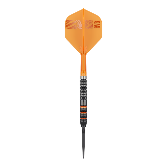 Target Raymond Van Barneveld 95K Swiss Points Steel Darts